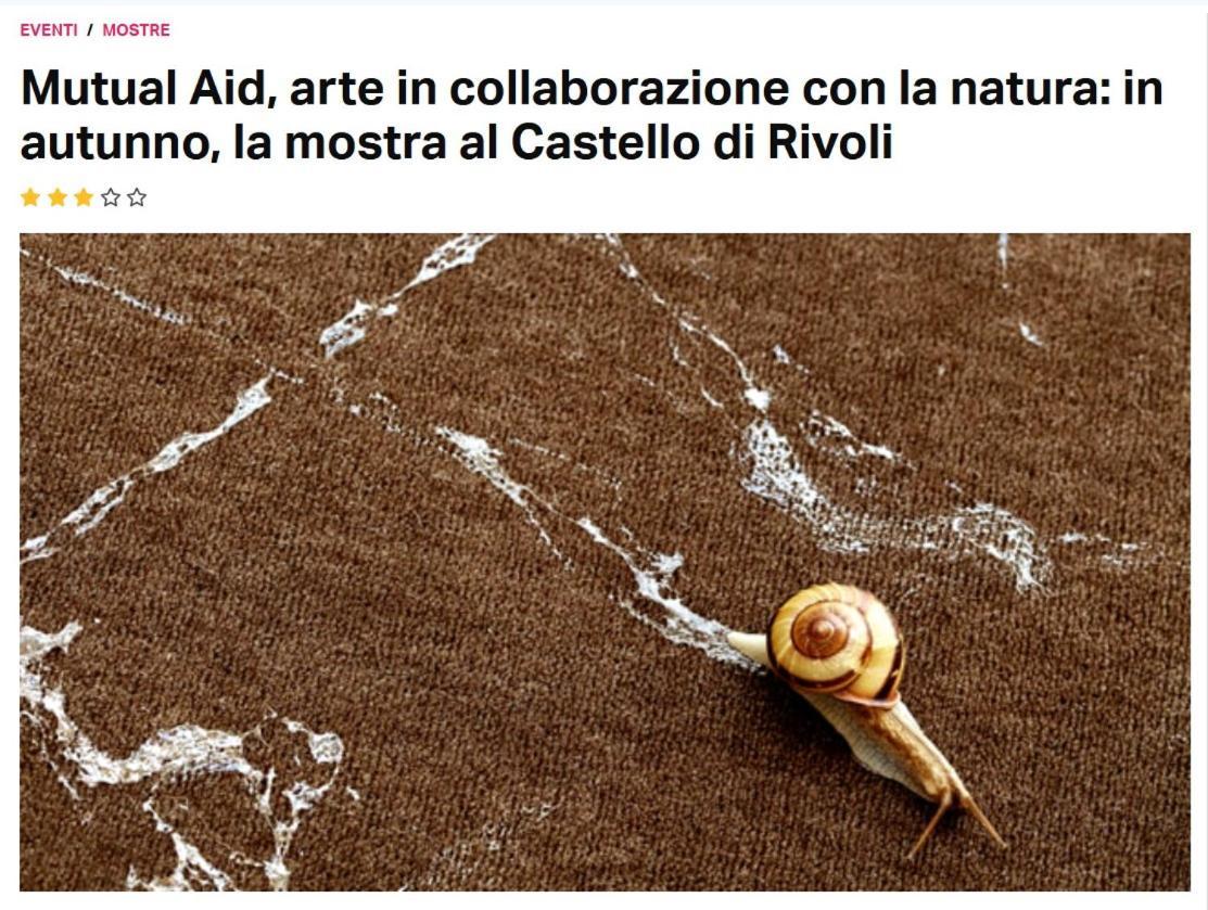 La Casa Di Silvio Ai Giardini Reali Lejlighed Torino Eksteriør billede
